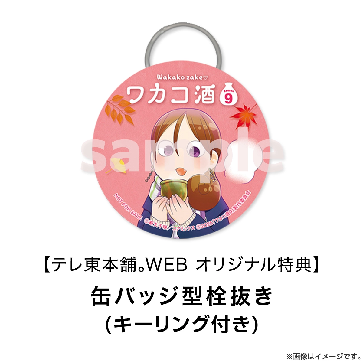 ワカコ酒 Season9 DVD BOX