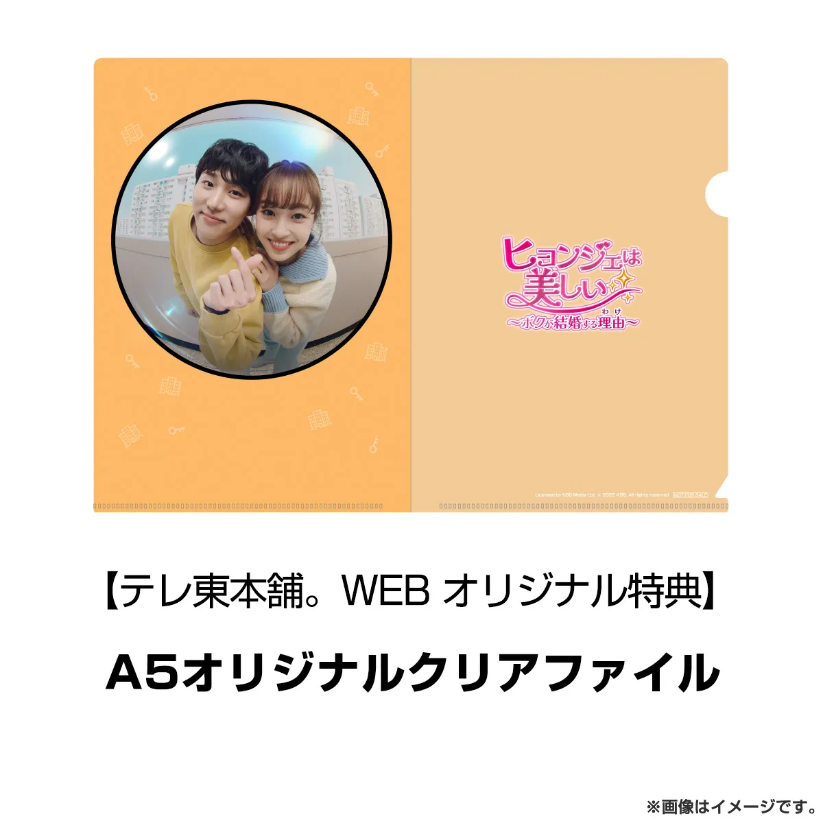 ヒョンジェは美しい～ボクが結婚する理由(わけ)～　DVD BOX4