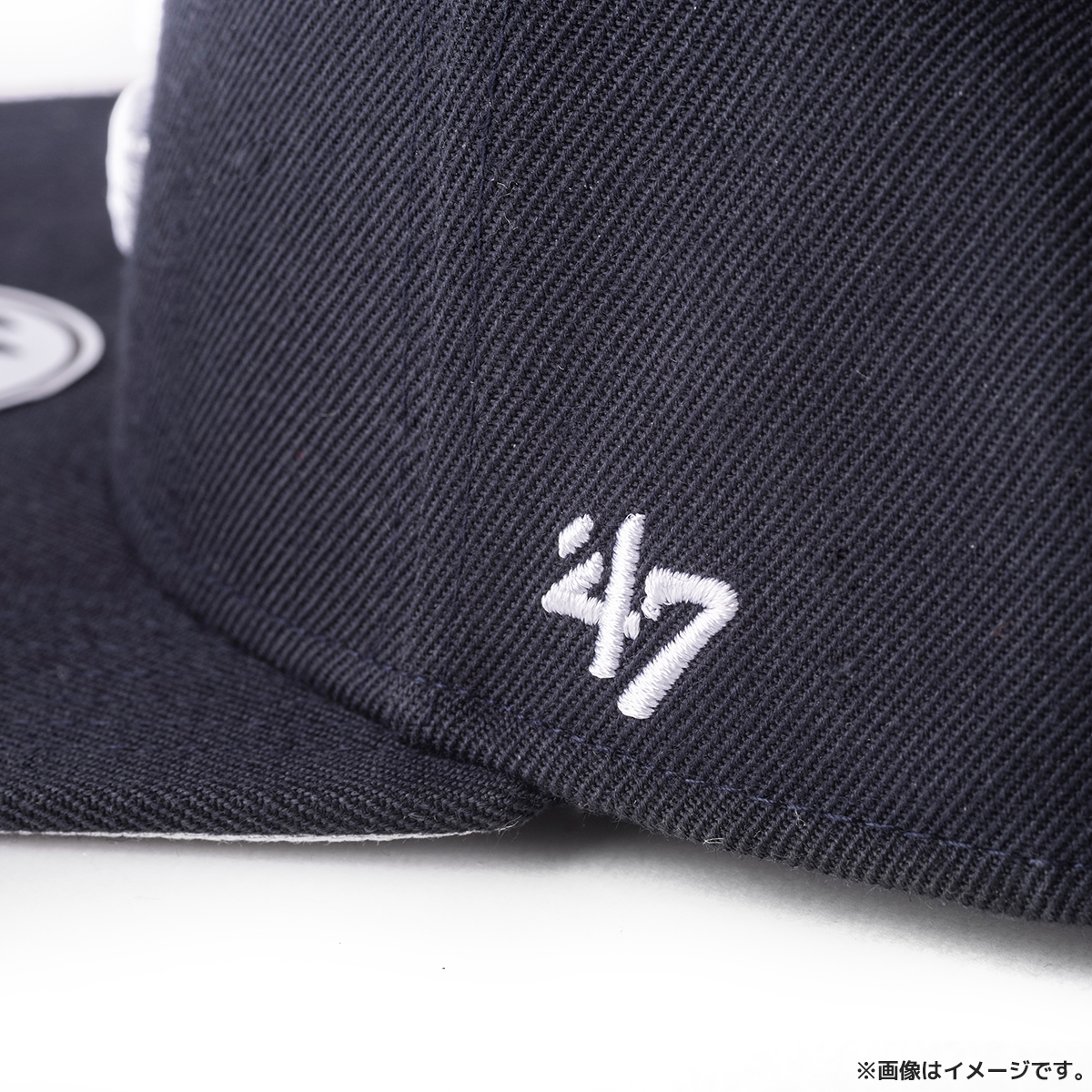 出川哲朗のプロ野球順位予想 キャップ（プロ野球愛）