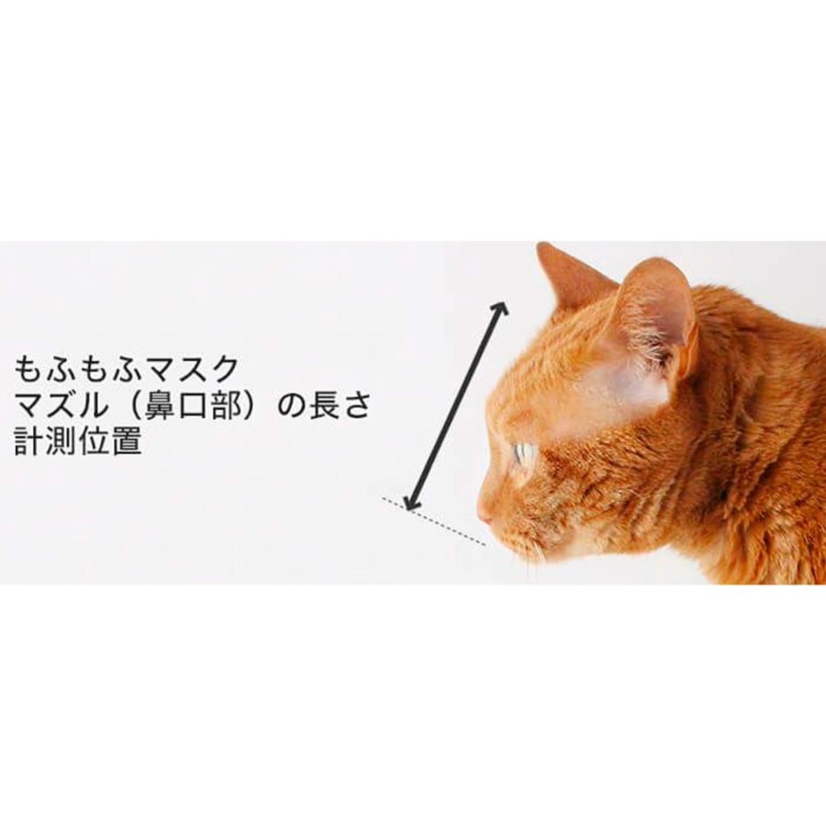 Sサイズ 猫 目薬 爪切り 補助 マスク 噛みつき防止 猫 サポート