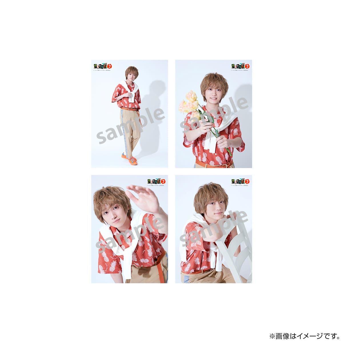 サクセス荘2 ブロマイドセット2 303 チャップ