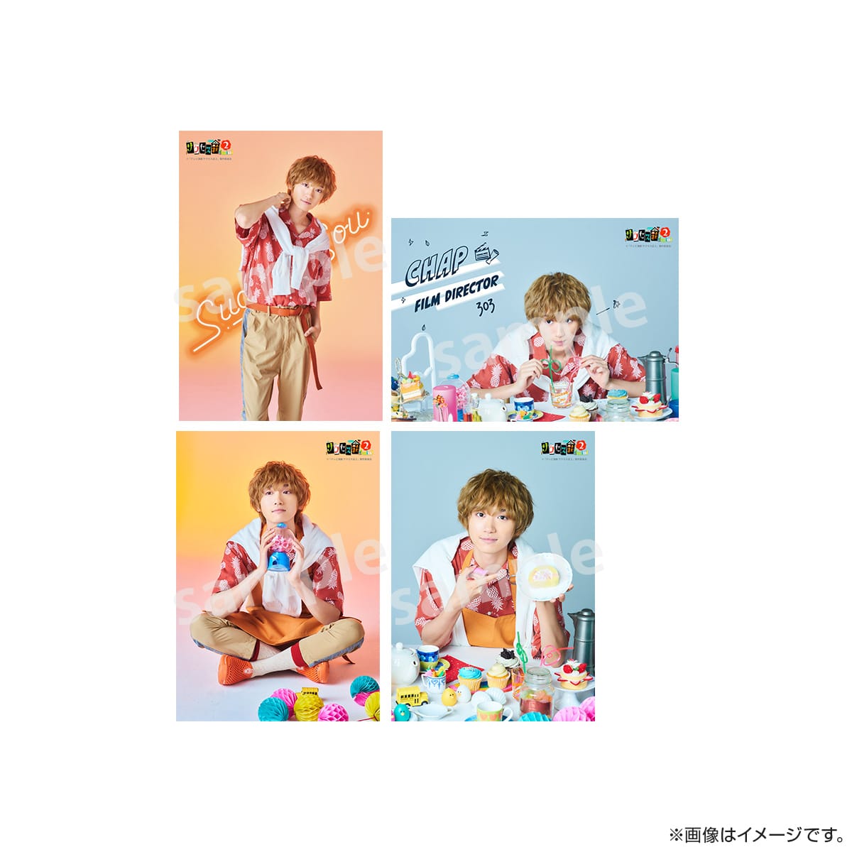 サクセス荘2 mini ブロマイドセット 303 チャップ