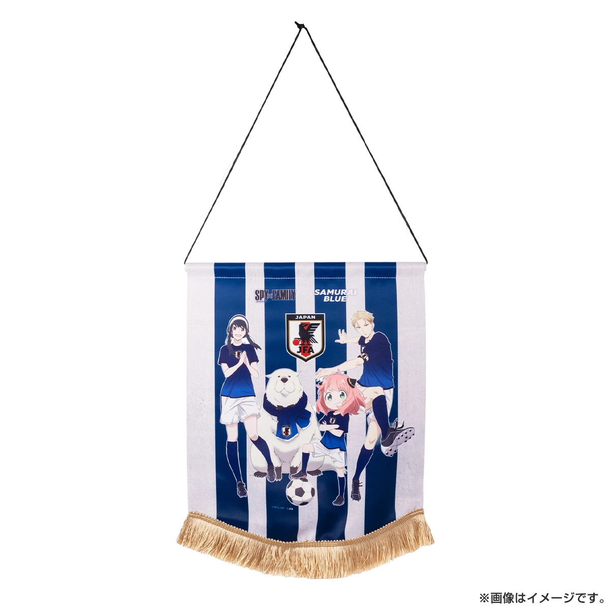 日本代表　SAMURAI BLUE タスペトリー 日本代表 SAMURAI BLUE タスペトリー