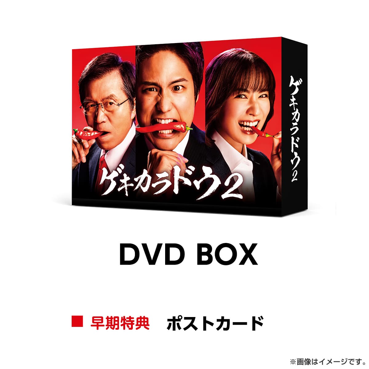 ゲキカラドウ DVD