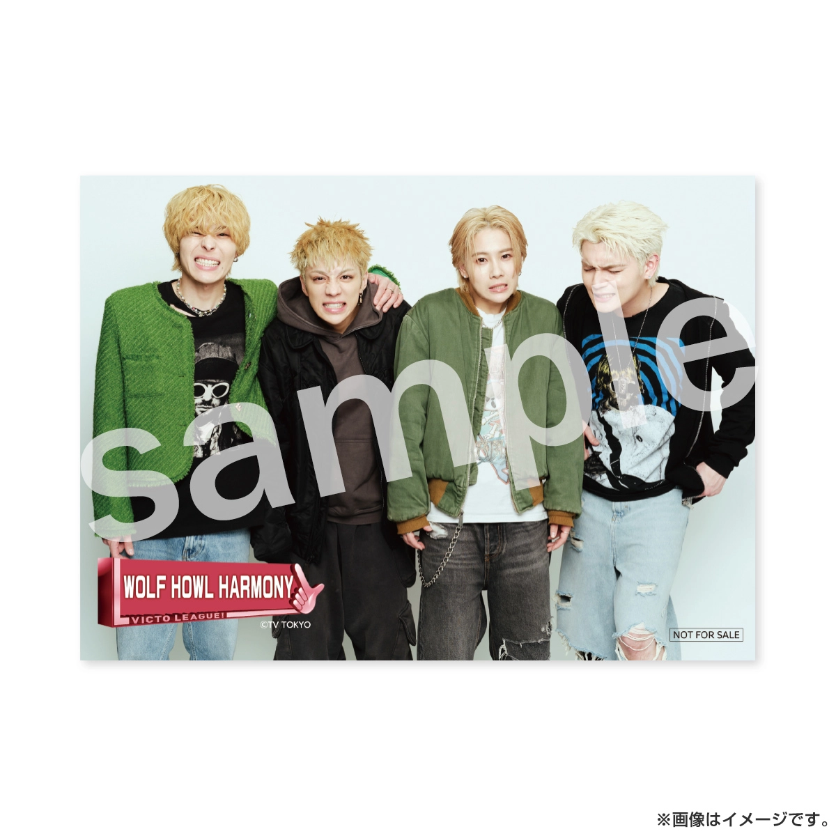 ヴィクトリーグ！ 負けん気道場サンダル WOLF HOWL HARMONY