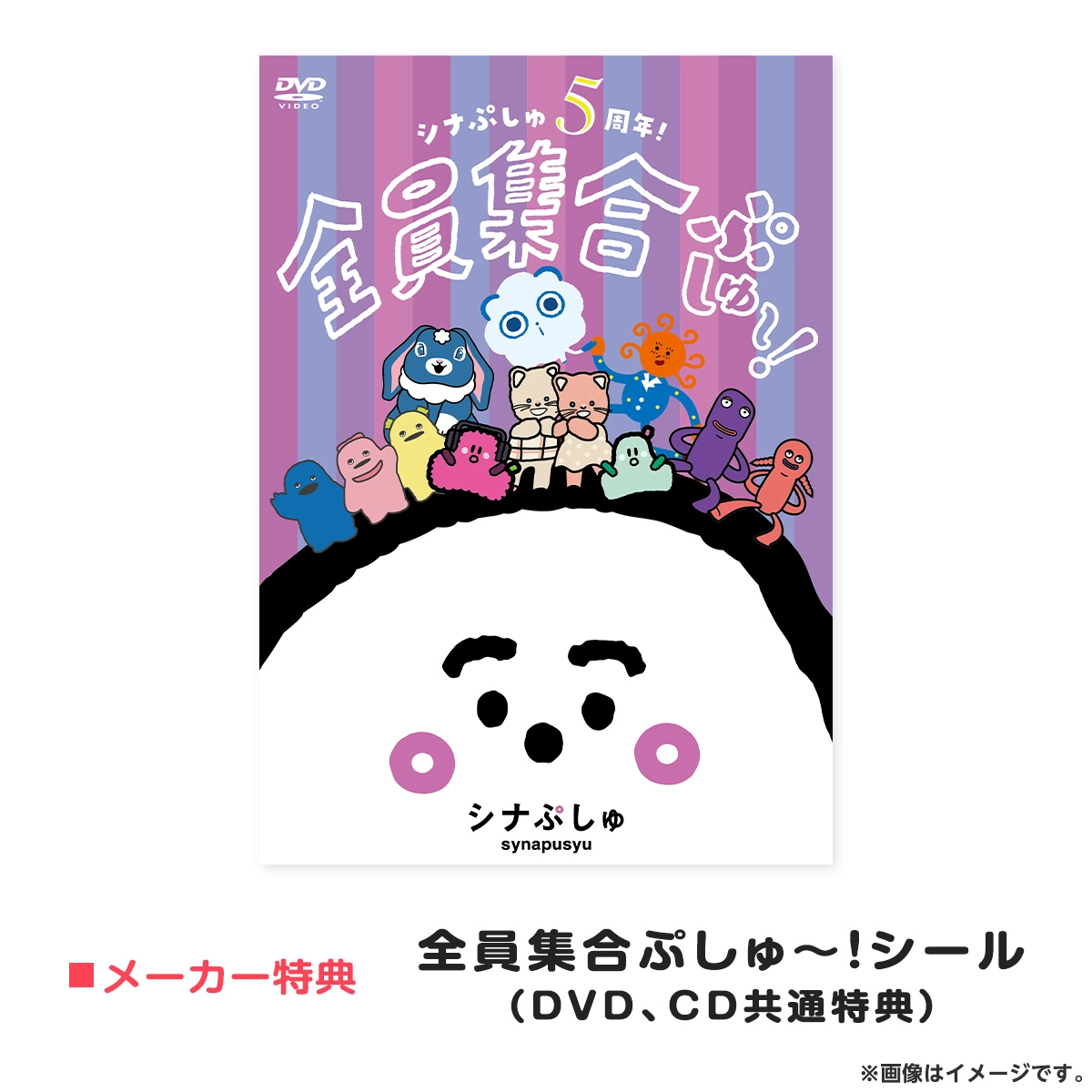 「通常盤DVD」シナぷしゅ ５周年！全員集合ぷしゅ～！