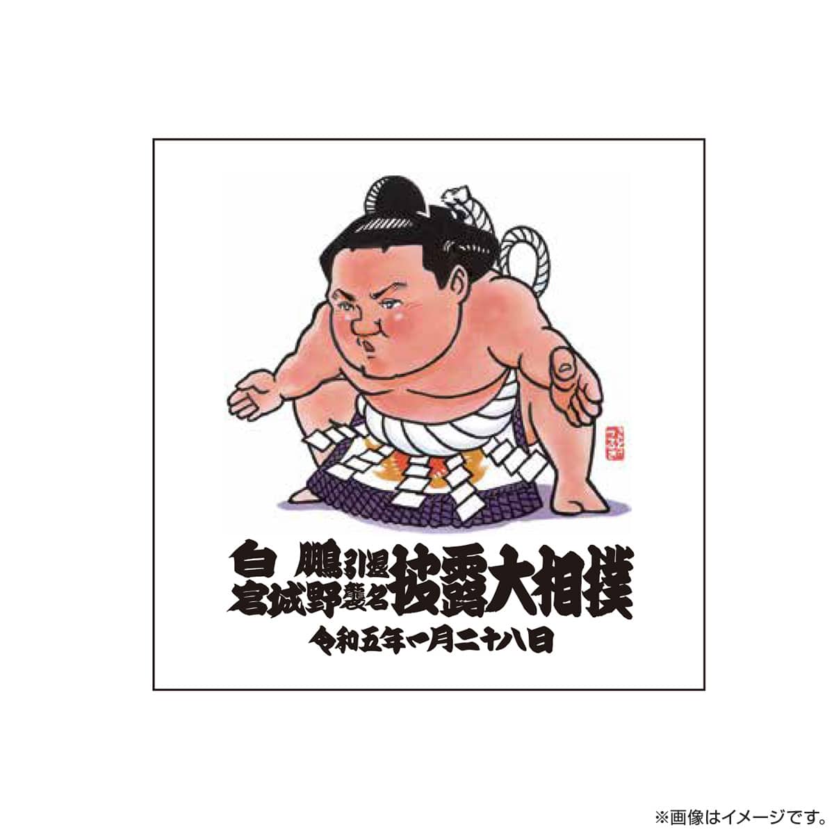 横綱白鵬引退宮城野襲名披露パーティー記念品セット 相撲/武道 販促品製作